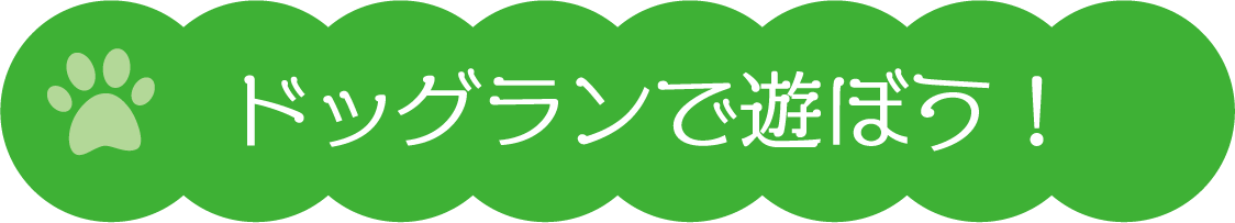 ドッグランで遊ぼう！