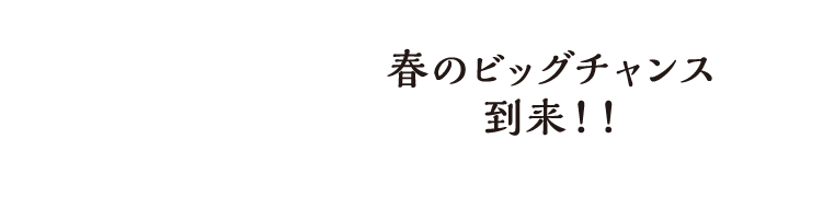 春のビッグチャンス到来！！