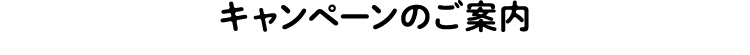 キャンペーンのご案内