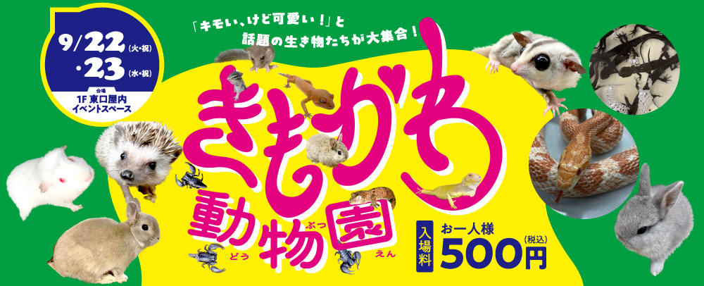 話題の生き物たちが大集合！「きもかわ動物園」開催♪ 9/22（火）～23（水）