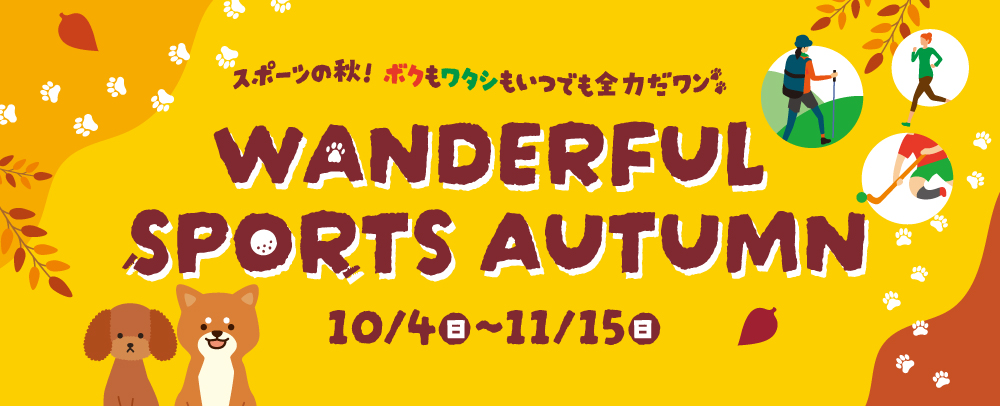 WONDERFUL SPORTS AUTUMN 10/4（日）～11/15（日）
