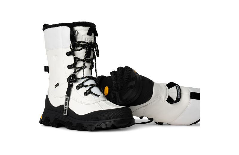 Adirondack Meridian (WHT)