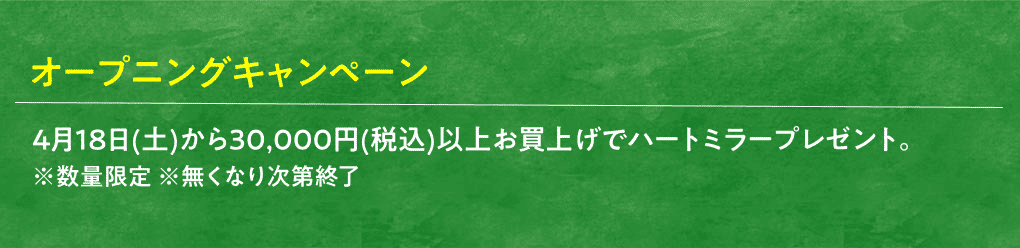 MICHAEL KORS Opening Campaign