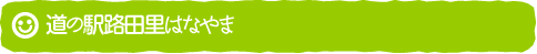道の駅路田里はなやま