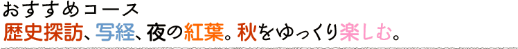 歴史、写経、夜の紅葉。秋をゆっくり楽しむ。