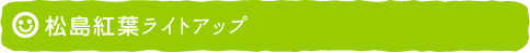松島紅葉ライトアップ