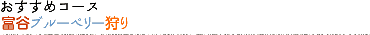 おすすめコース 富谷ブルーベリー狩り