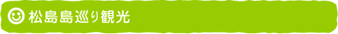 松島島巡り観光