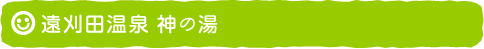 遠刈田温泉 神の湯