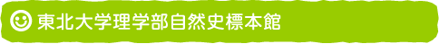 東北大学理学部自然史標本館