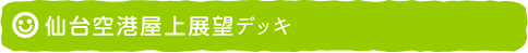 仙台空港展望台デッキ