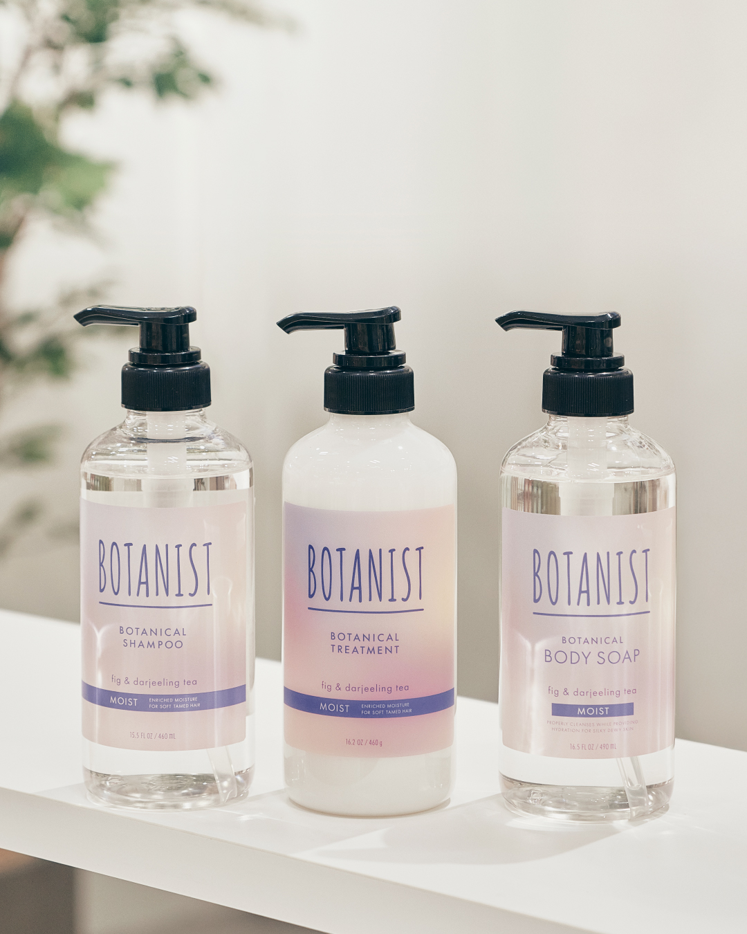 Fragrance Collection: Fig & Darjeeling Tea Scent