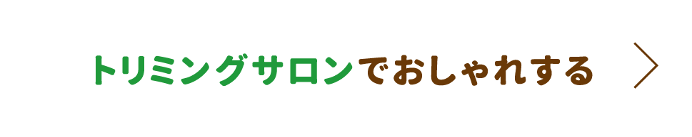トリミングサロンでおしゃれする