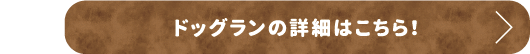 ドッグランの詳細はこちら！