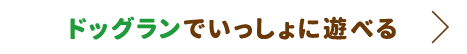 ドッグランでいっしょに遊べる