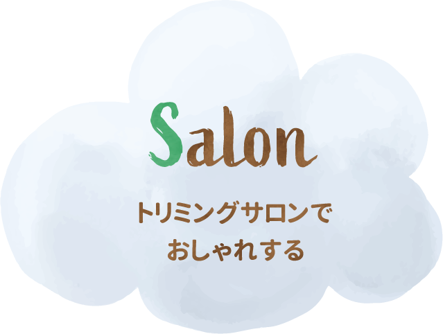 トリミングサロンでおしゃれする