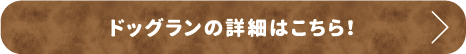 ドッグランの詳細はこちら！