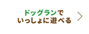 ドッグランでいっしょに遊べる
