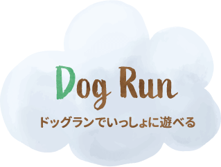 ドッグランで一緒に遊べる