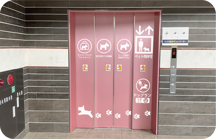 ペットと一緒に乗れるエレベーター