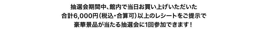 抽選会期間中、館内で当日お買い上げいただいた合計6,000円（税込・合算可）以上のレシートをご提示で豪華景品が当たる抽選会に1回参加できます！