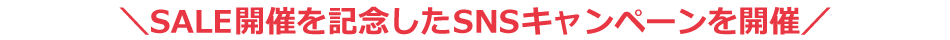 SALE 개최를 기념한 SNS 캠페인 개최