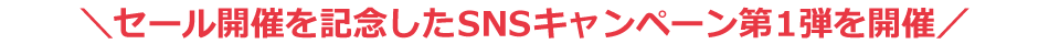 We are holding the first SNS campaign to commemorate the sale.