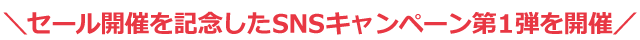 We are holding the first SNS campaign to commemorate the sale.