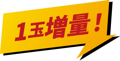 1玉増量！
