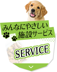 サービス