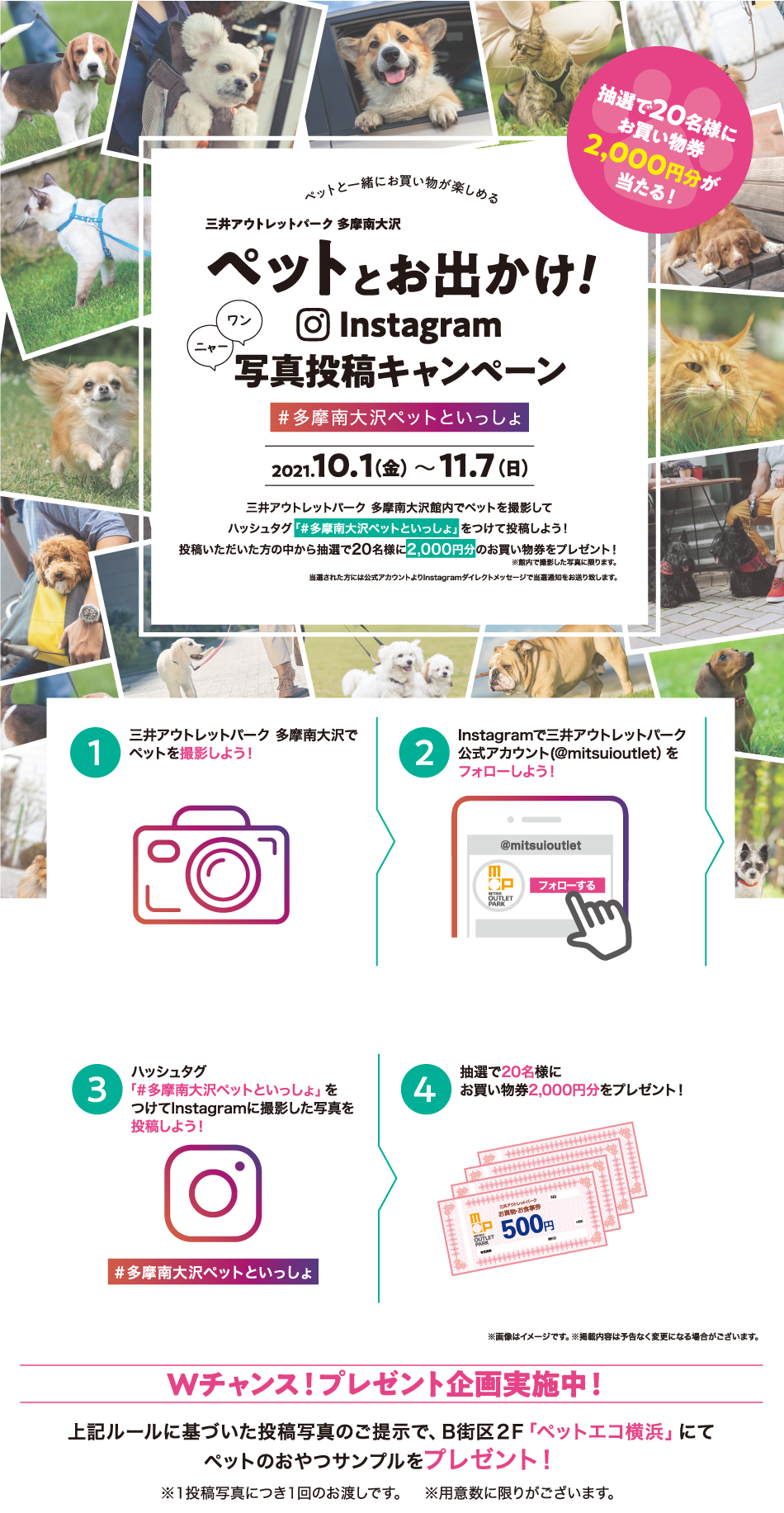 ペットとお出かけ Instagram写真キャンペーン 10 1 金 11 7 日 三井アウトレットパーク 多摩南大沢