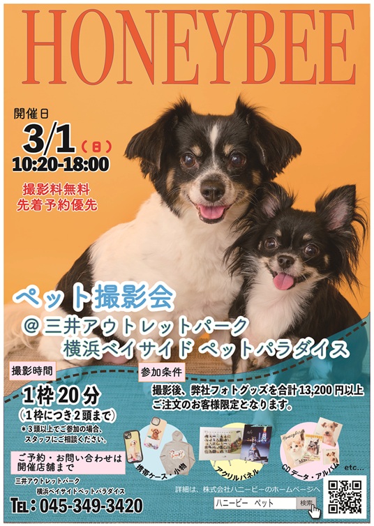 3/1(日)開催　ハニービーペット撮影会