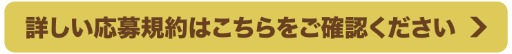 詳しい応募規約はこちらをご確認ください