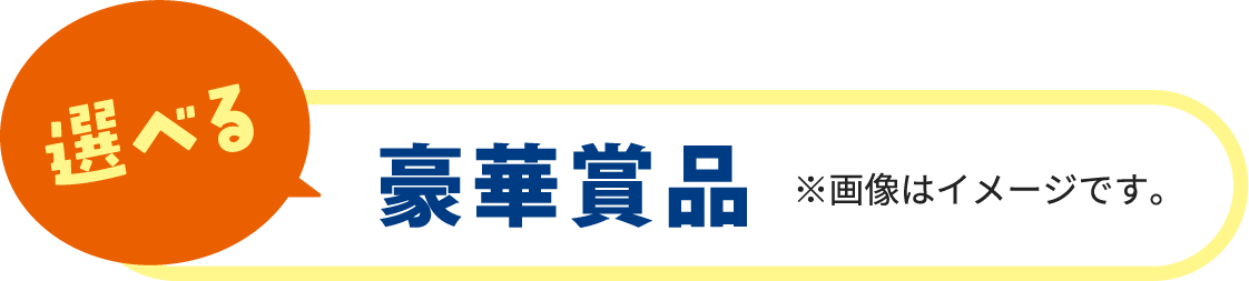 選べる 豪華賞品 ※画像はイメージです。