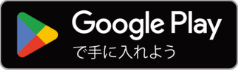Google Store
