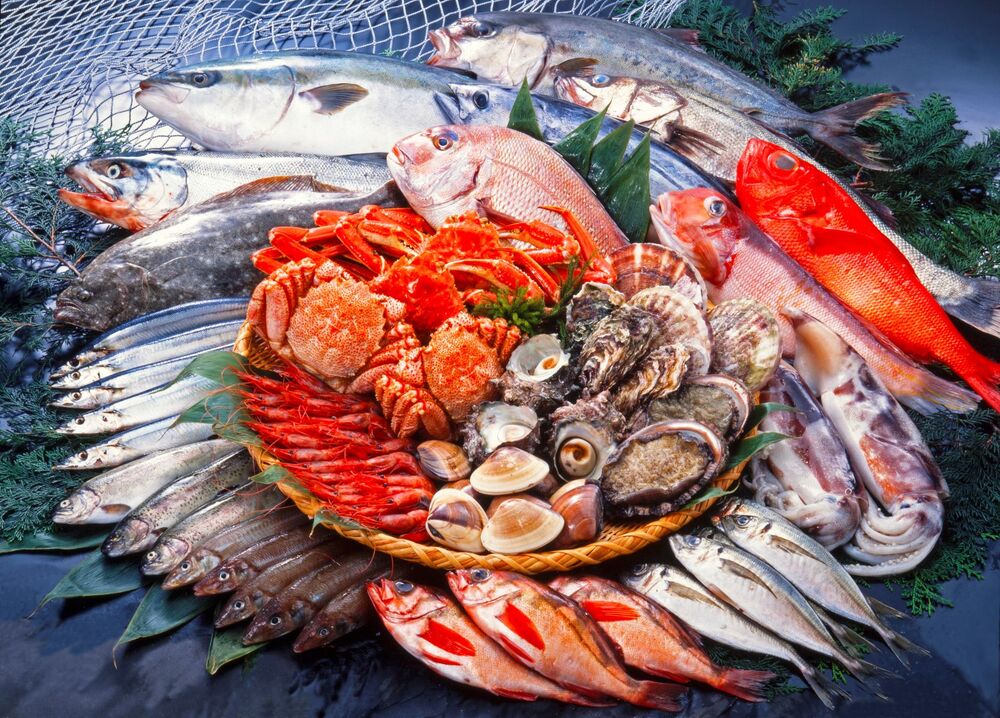 魚の北辰
