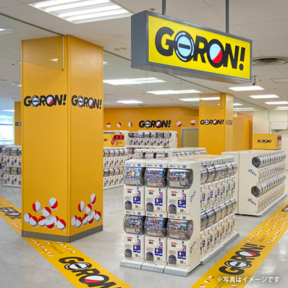 GORON! | Lala Terrace Kawaguchi