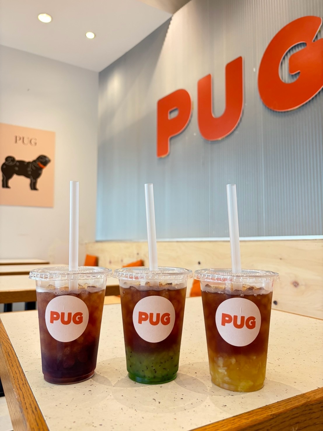 In front of PUG logo inside the store