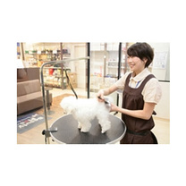 ペテモグルーミングサロン（トリミング・ホテル）