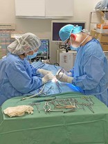 ペテモ動物病院（動物病院）