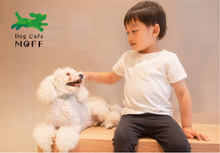 Dog Cafe MOFF