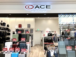 ACE Bags & Luggage