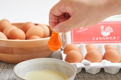 토요치의 계란