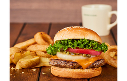 フレッシュネスバーガー