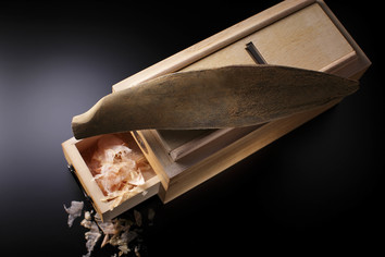 Image of this section