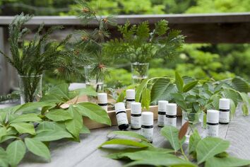 オークヴィレッジ/アロマ