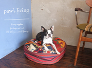 paw’s living_thum