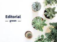 Editorial green_thum