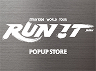 Stray Kids World Tour_thum