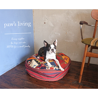 paw’s living_thum